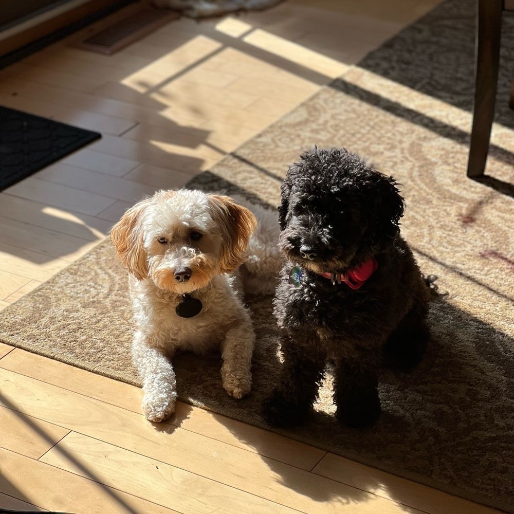 Shipping label $3